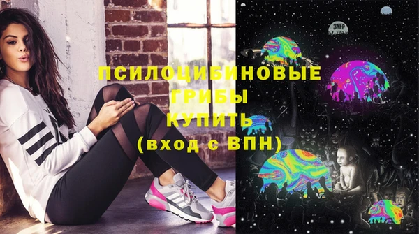 соль ск Вязьма