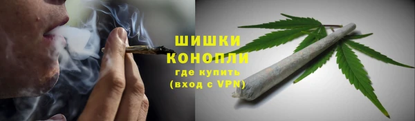 прущий лед Вяземский