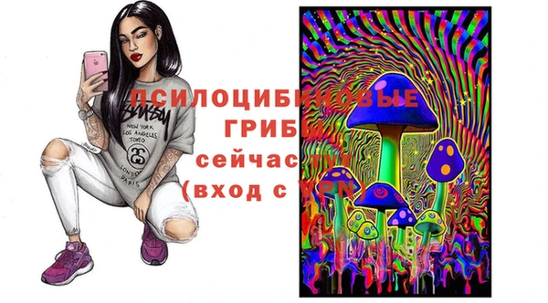 прущий лед Вяземский