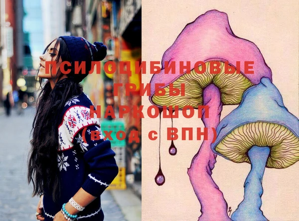 соль ск Вязьма