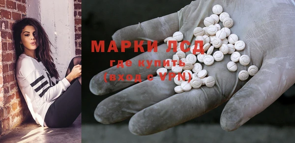 прущий лед Вяземский