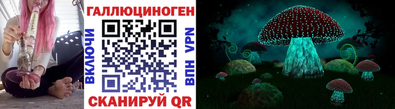 Галлюциногенные грибы мицелий  сайты даркнета официальный сайт  Бердск  ОМГ ОМГ ТОР 